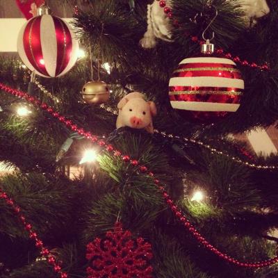 Charlotte St. Pete, das Weihnachtsschwein // Charlotte St. Pete, the Christmas pig